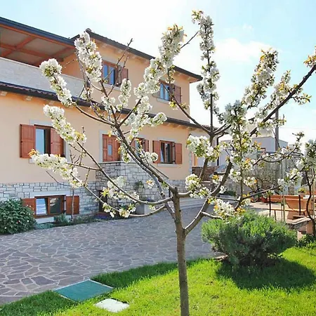 Iris - Cis01281-eyb Daire *